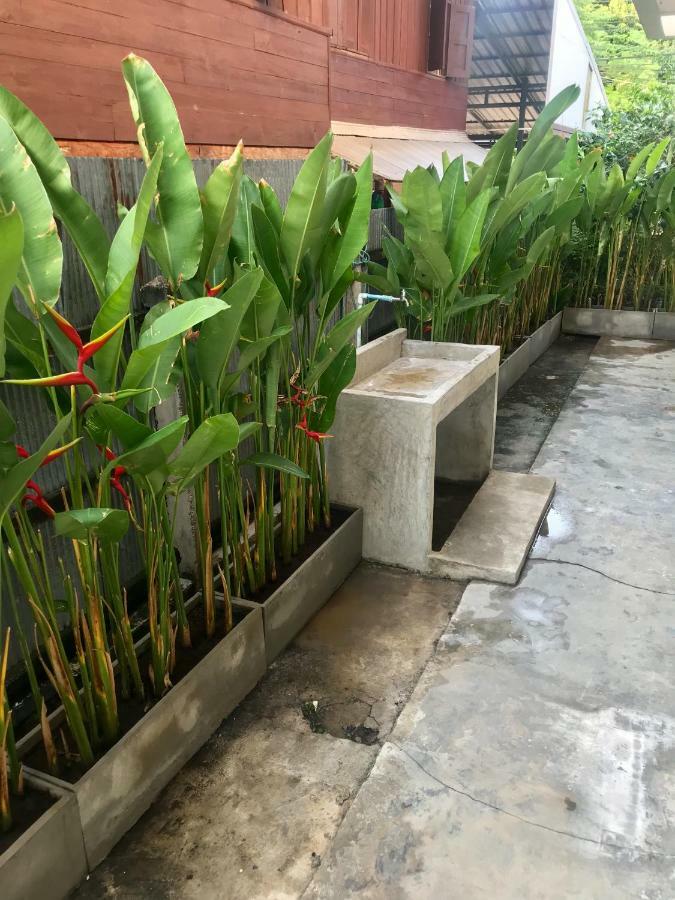 Cozy By Funwahn Bed & Breakfast Chiang Mai Luaran gambar